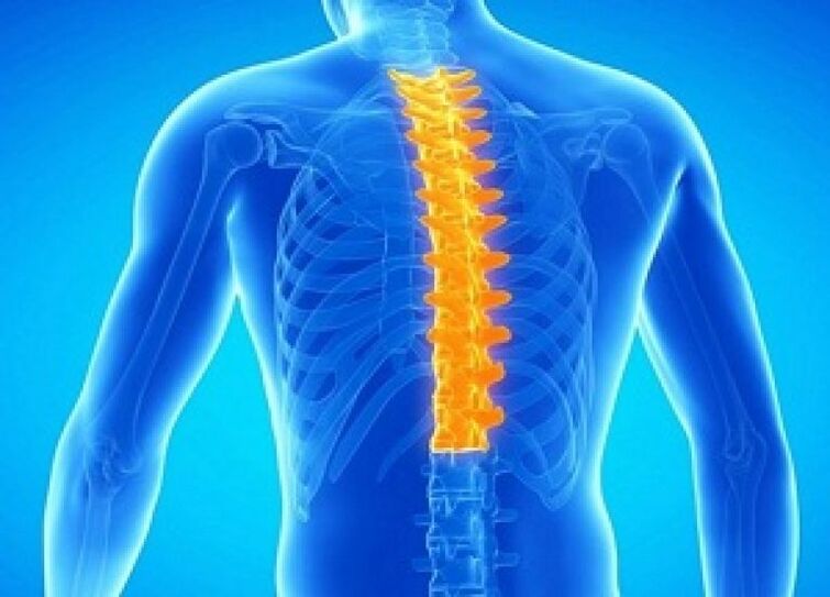 Osteocondroza coloanei vertebrale toracice